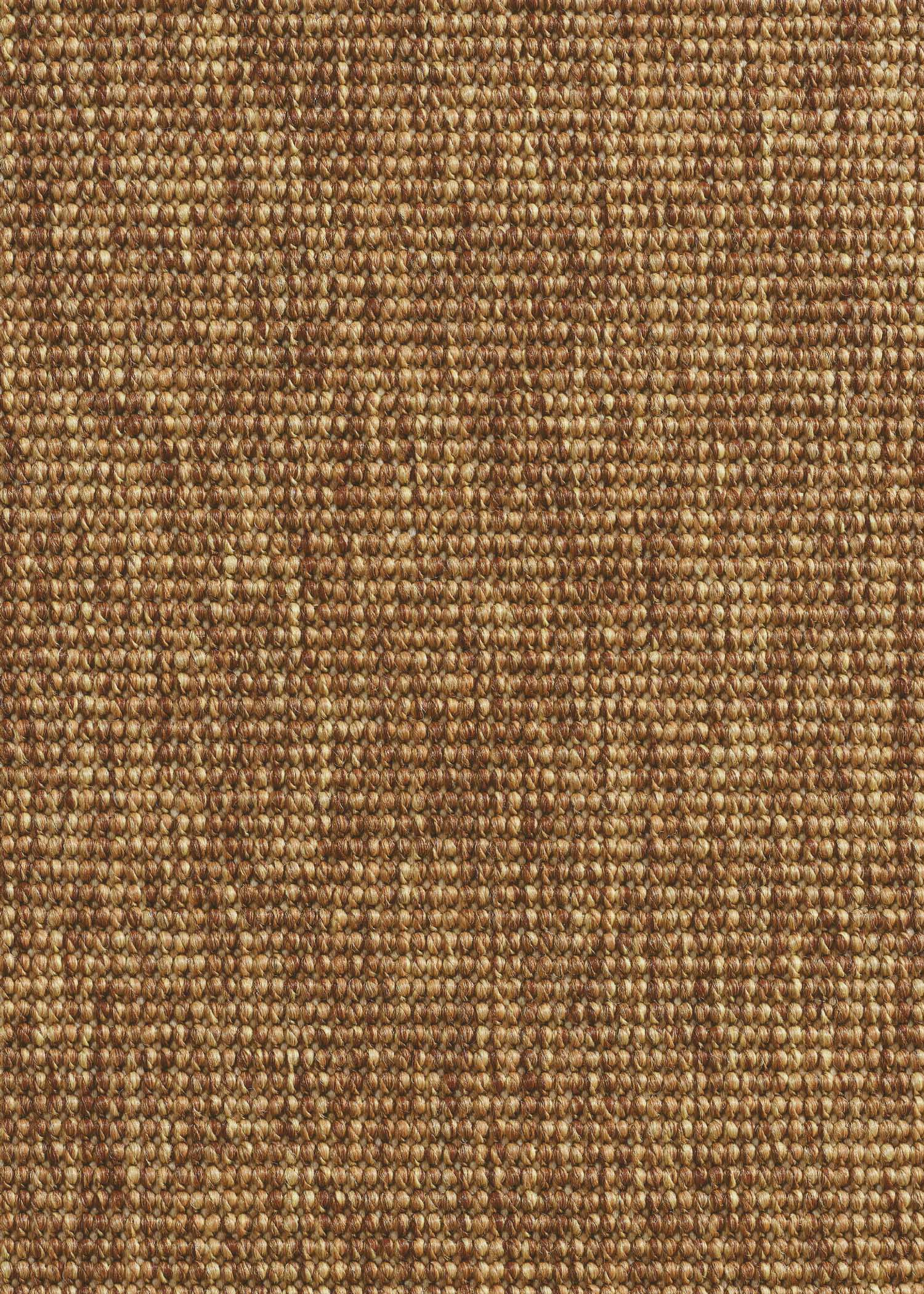 ref37