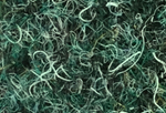 6888-FERN-GREEN