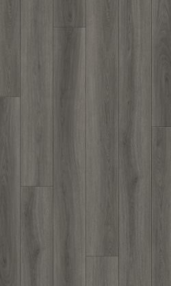 BETULLA-Grey Arya