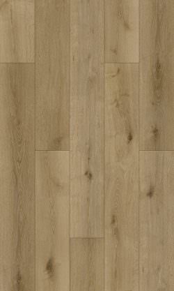 NOYER-BEIGE Arya