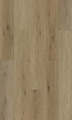 SAPIN-BEIGE Arya